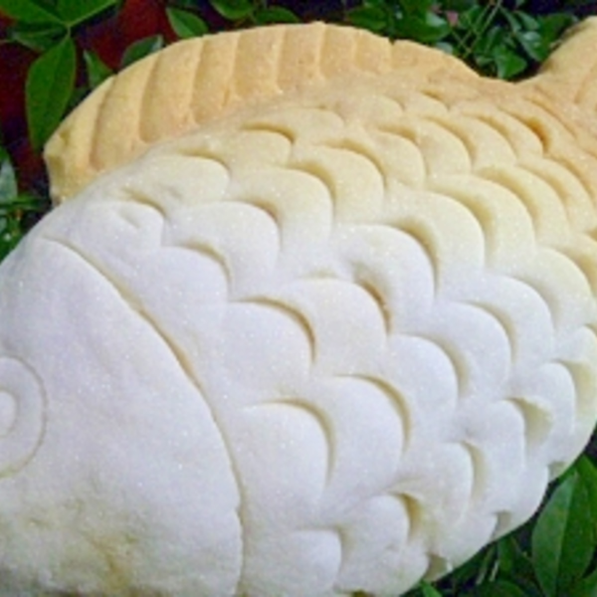鯛の阿里山烏龍茶葉塩釜焼き レシピ 作り方 By 身の茸335 楽天レシピ 鯛の阿里山烏龍茶葉塩釜焼き レシピ 作り方 By 身の茸335 楽天レシピ